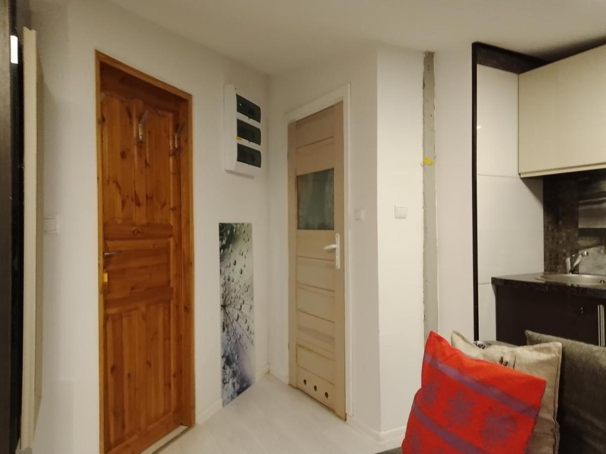 Beautiful Apartment Торунь Екстер'єр фото