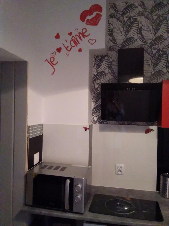Beautiful Apartment Торунь Екстер'єр фото