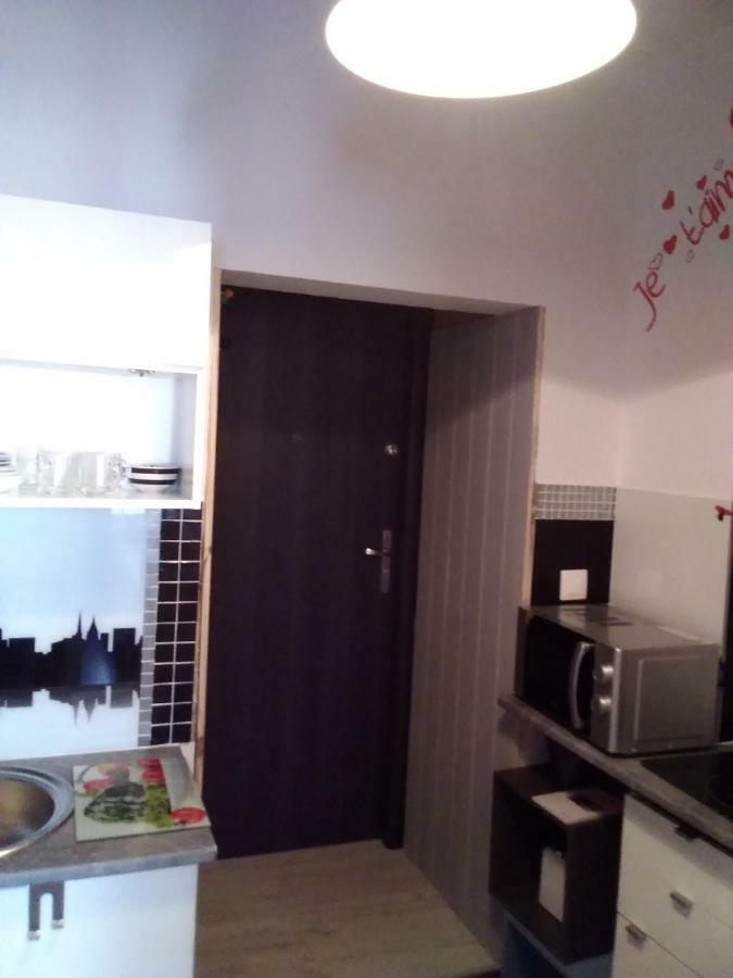 Beautiful Apartment Торунь Екстер'єр фото